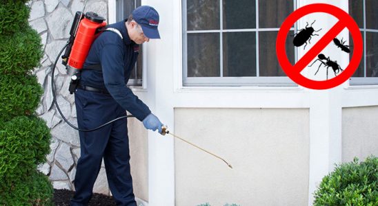 Akyazı Karınca İlaçlama böcek ilaçlama ve haşere kontrolü — ilaclama-tr.com